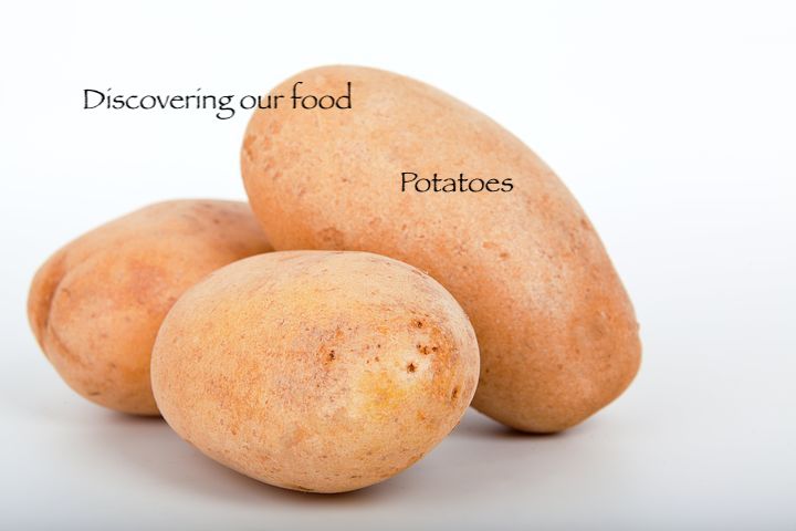 Discovering our food: Potatoes