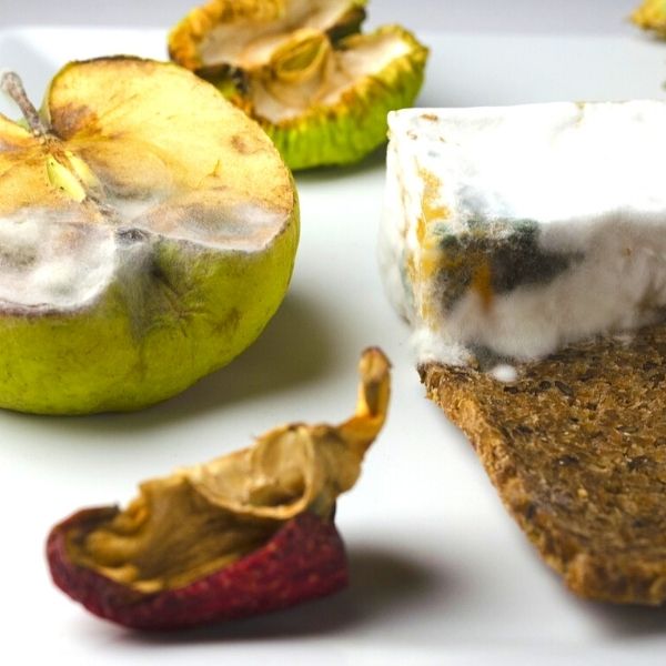 Expired foods, can we eat them anyway?