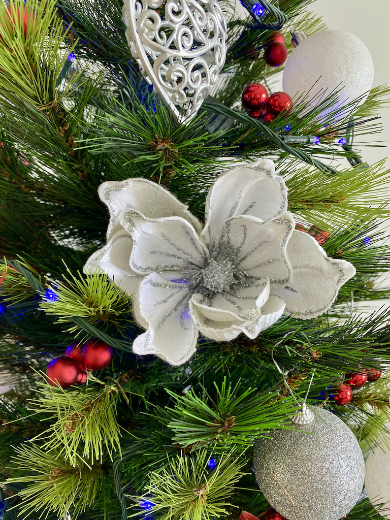 Merry Christmas & Happy New Year 🎄