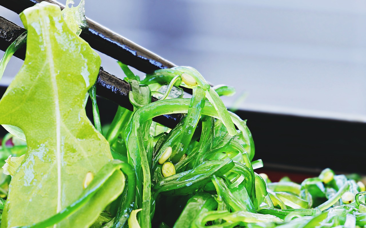 Wakame Seaweed, a Tasty Wellness Boost to Try