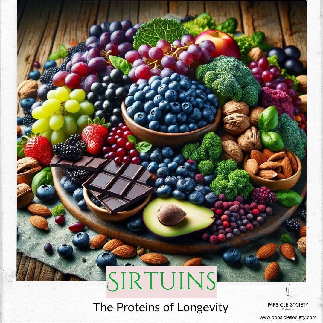 Unlocking the Secrets of Sirtuins: The Proteins of Longevity